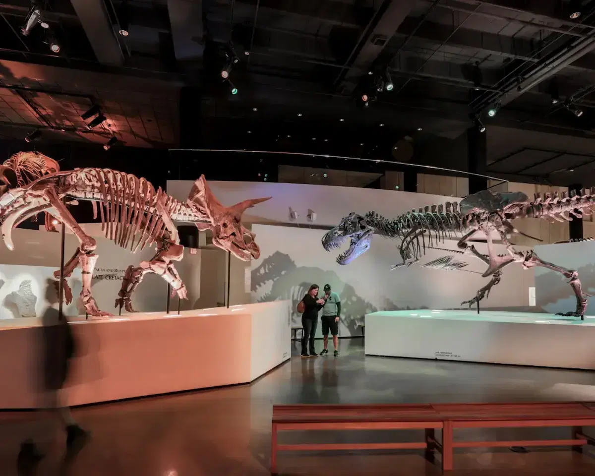 Houston Museum of Natural Science